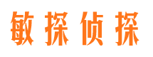 偏关市侦探公司